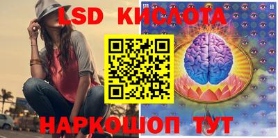 стафф Донской