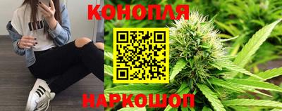 стафф Донской