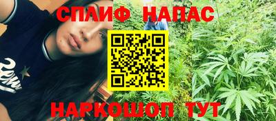 индика Дубна