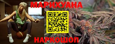 индика Дубна