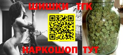 индика Дубна