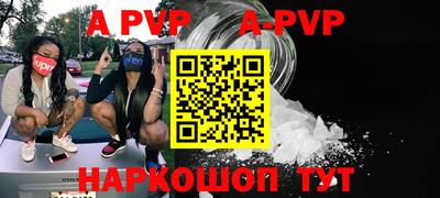 стафф Донской
