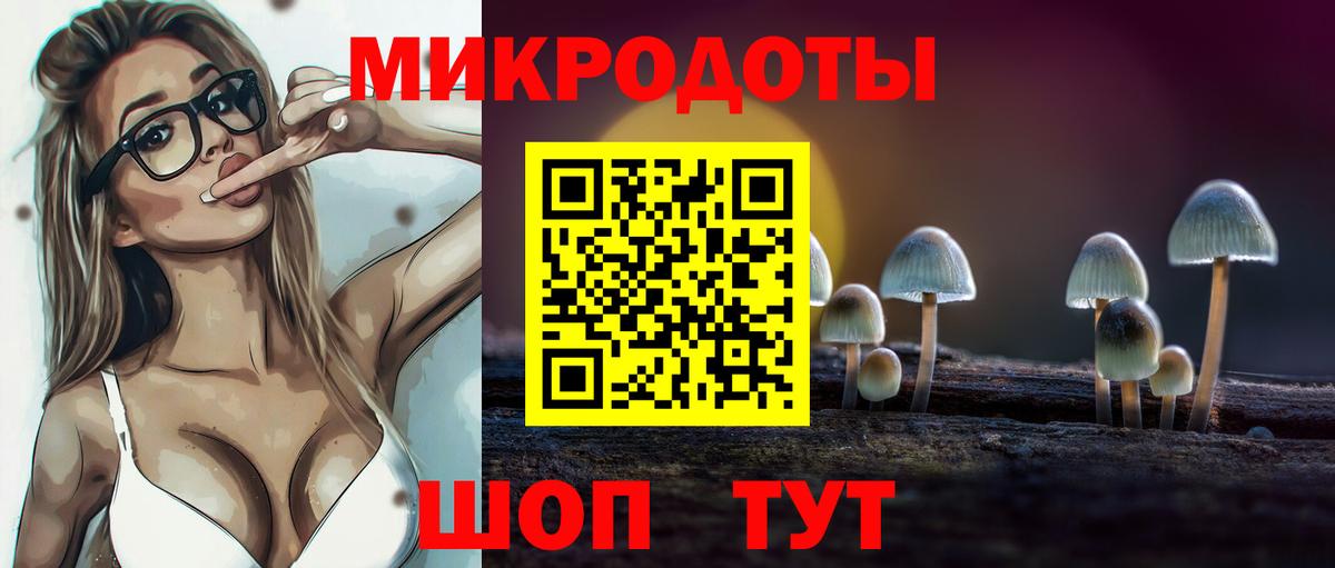 где купить наркотик  Вход с VPN  Галлюциногенные грибы Psilocybe  Сызрань  Галлюциногенные грибы Psilocybine cubensis 